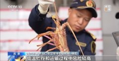 查询功能支撑通过产物类别、所正在国度（地域