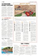 <b>“这不是我们当地</b>